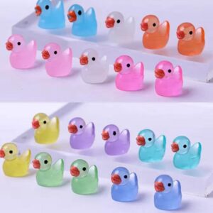 Glowing ducks set of 10